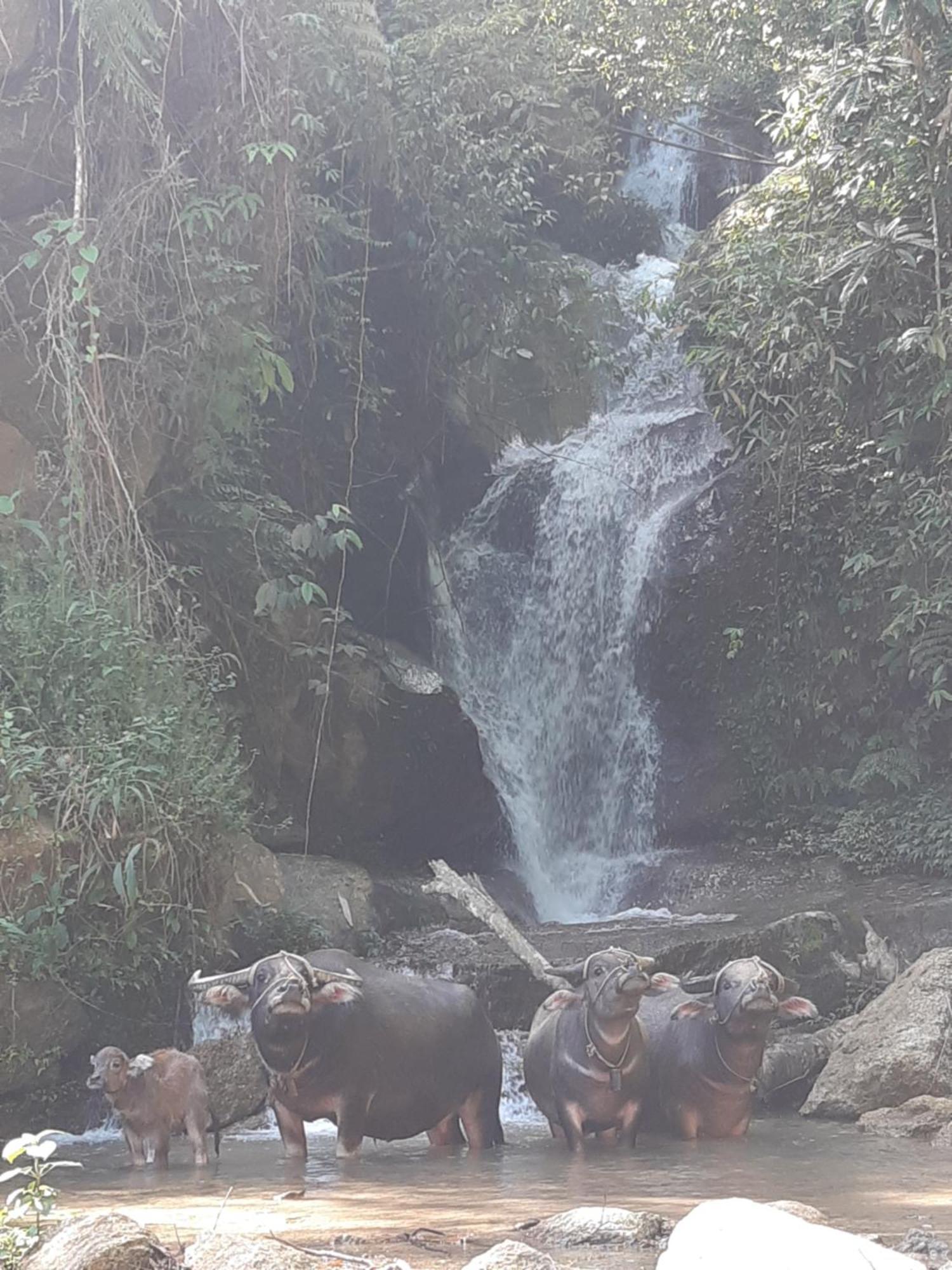 Ha Giang Historic Hotel & Tours Dış mekan fotoğraf