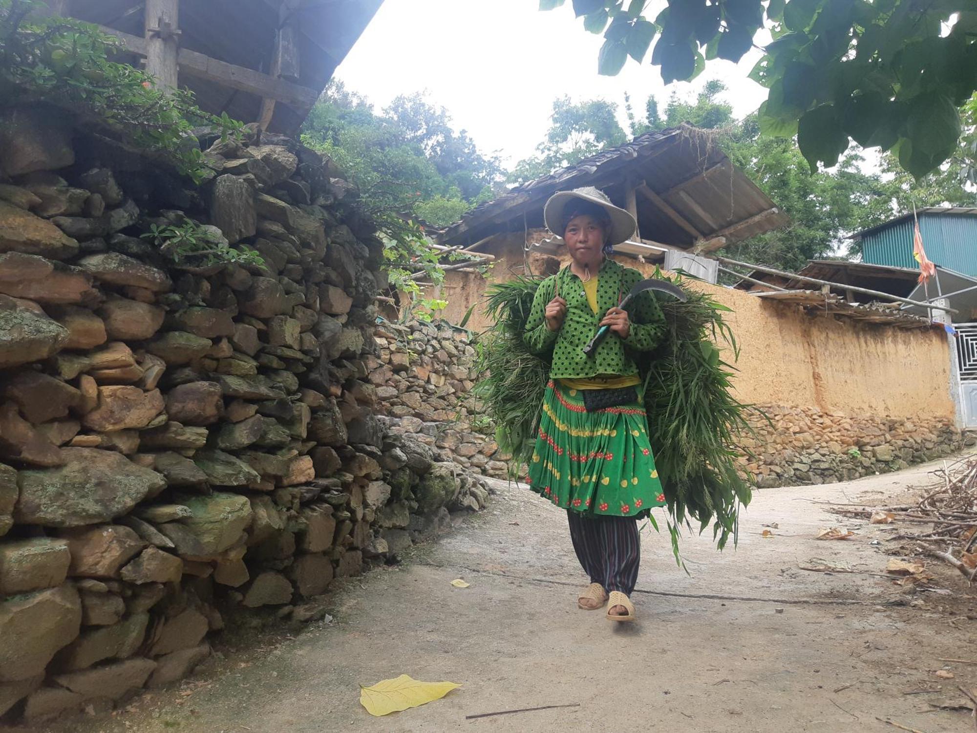 Ha Giang Historic Hotel & Tours Dış mekan fotoğraf