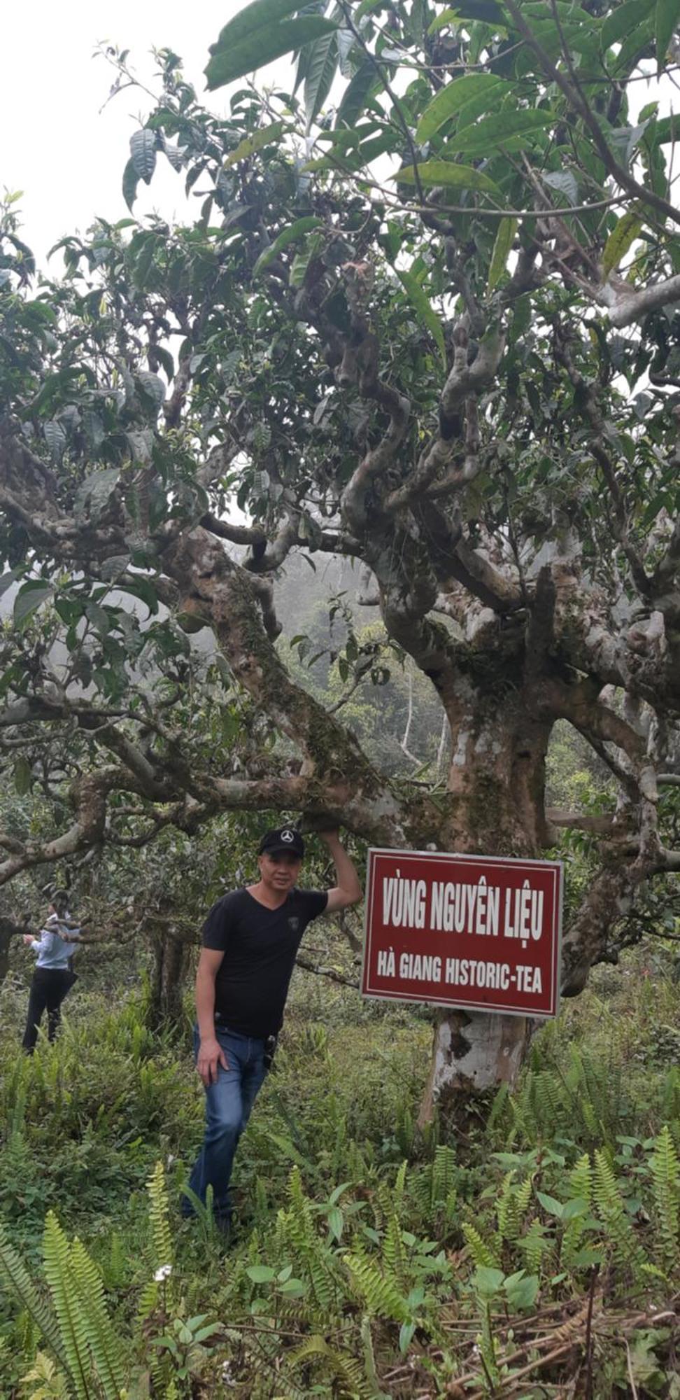 Ha Giang Historic Hotel & Tours Dış mekan fotoğraf